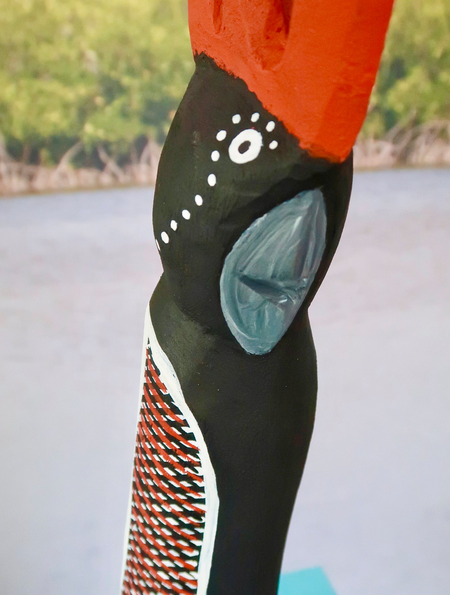 1. Karnamarr (Red Tailed Black Cockatoo)
