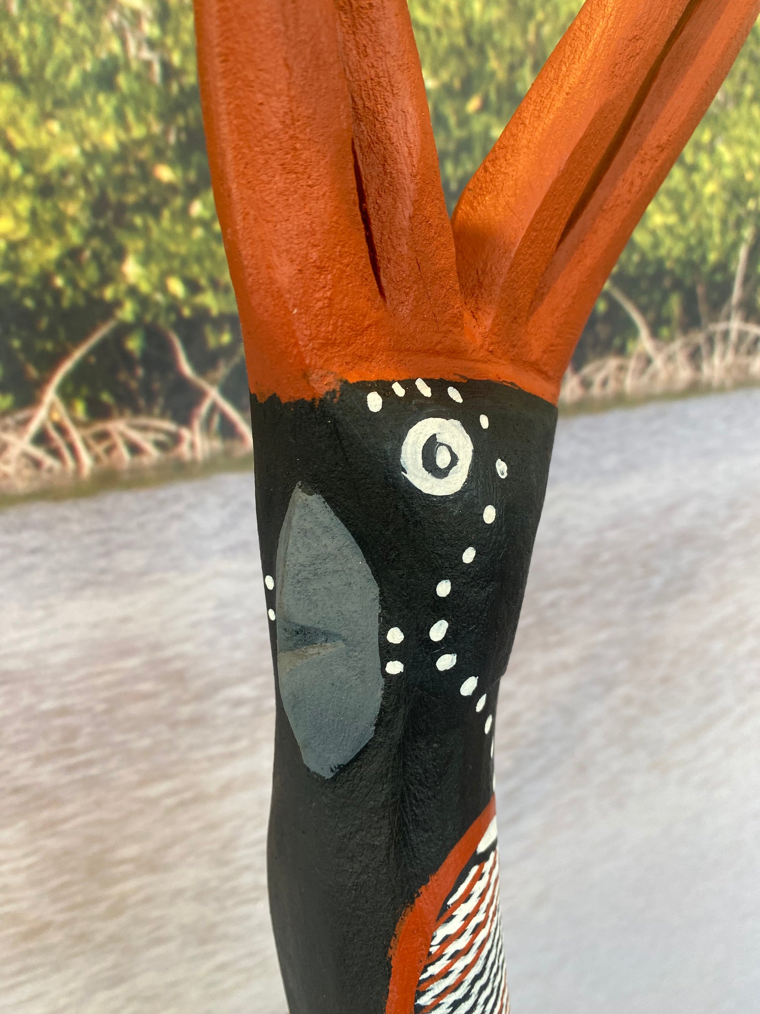 30. Karnamarr (Red Tailed Black Cockatoo)