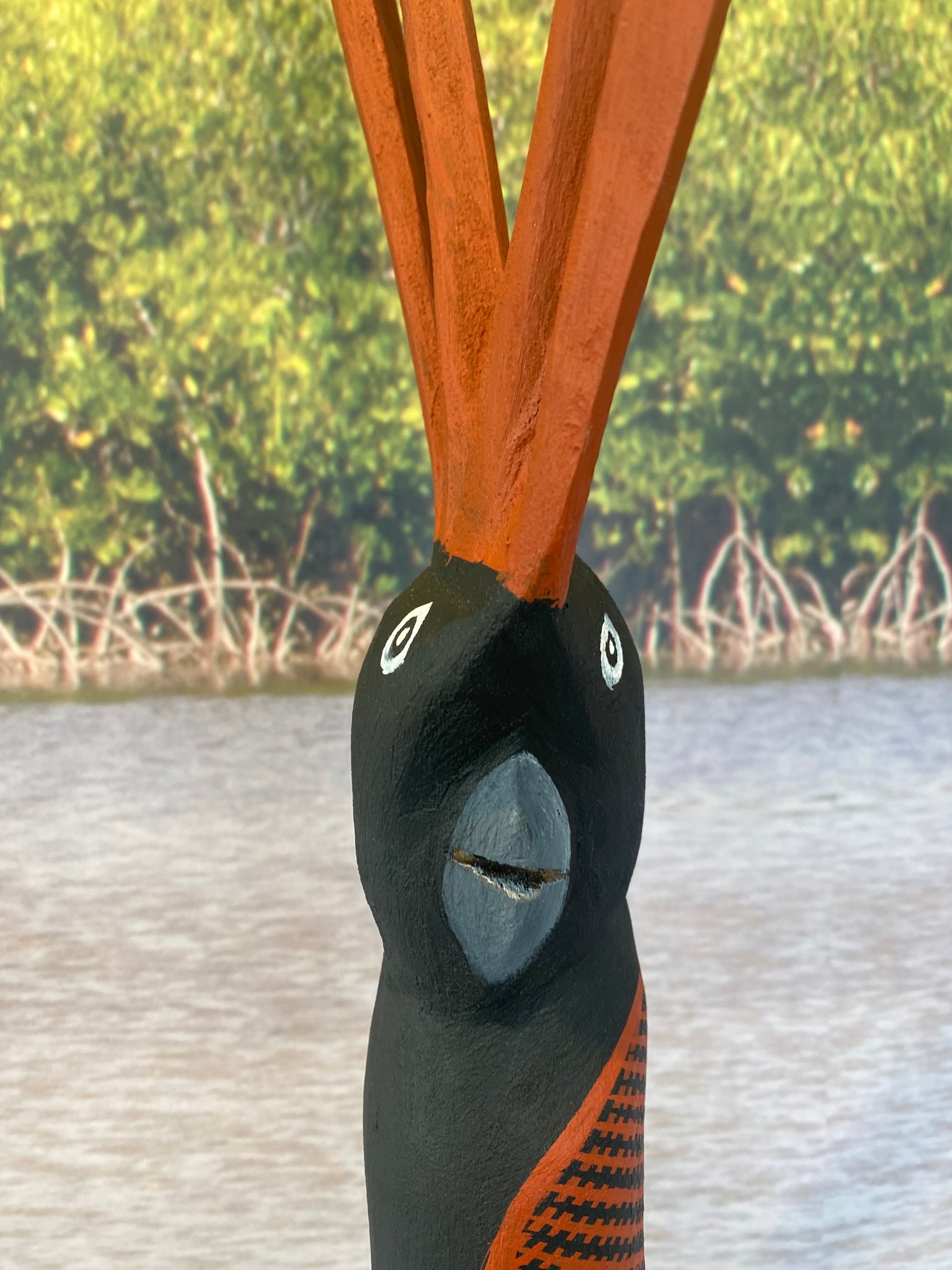31. Karnamarr (Red Tailed Black Cockatoo)