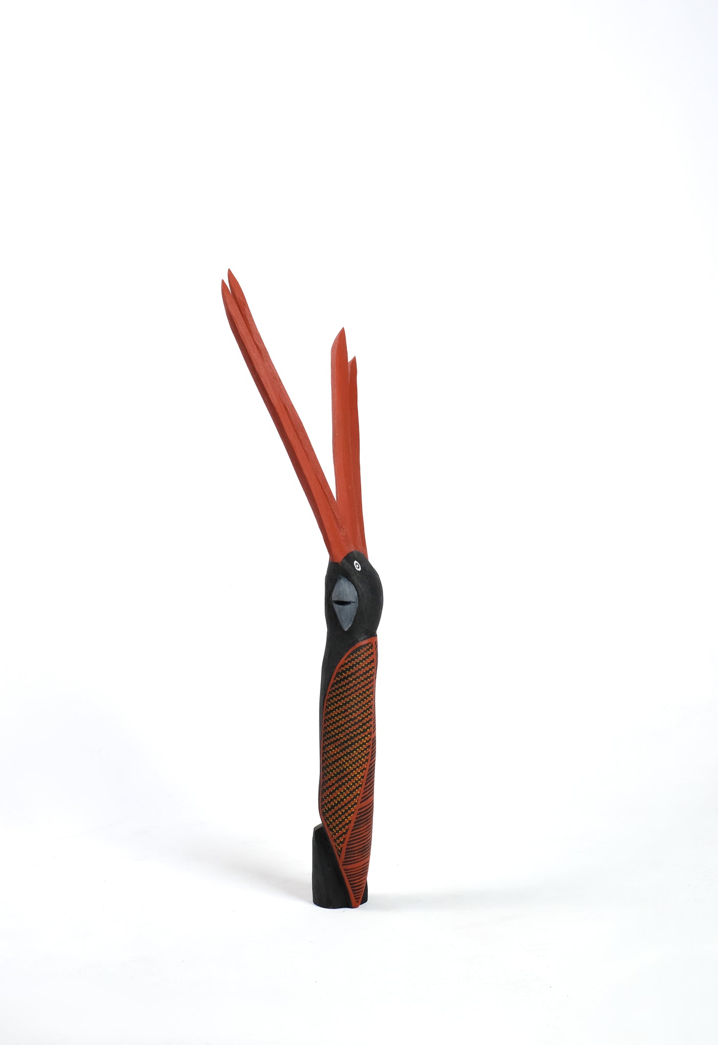 33. Karnamarr (Red Tailed Black Cockatoo)