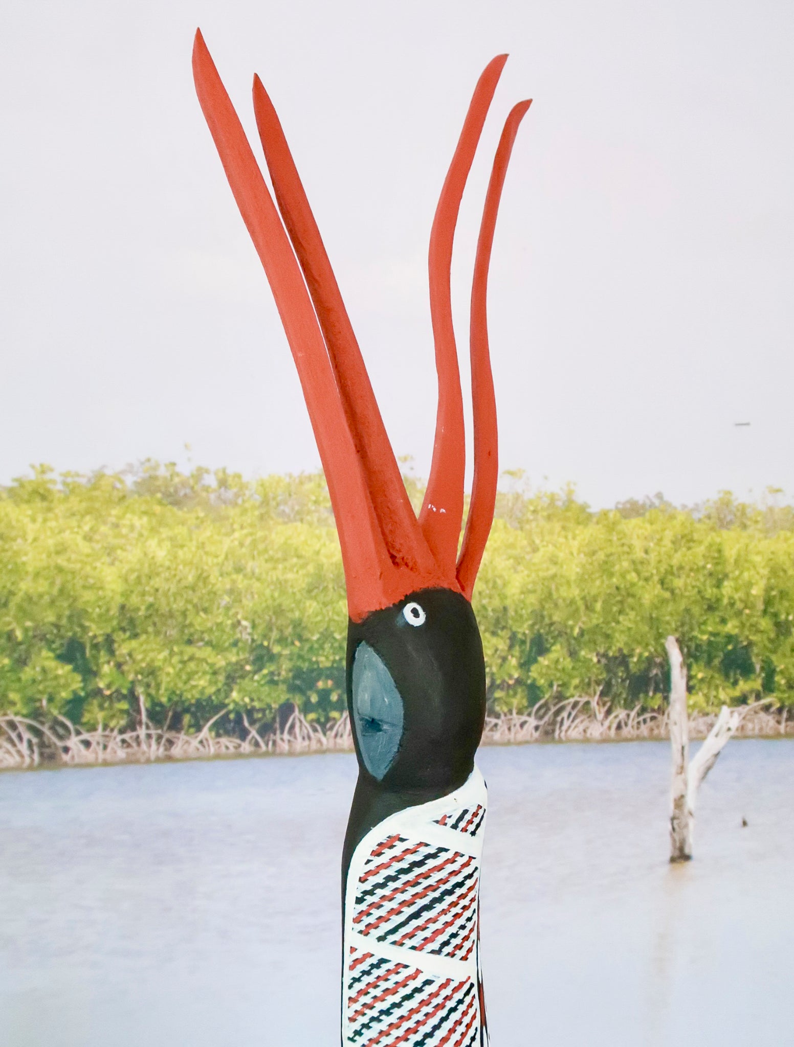 5. Karnamarr (Red Tailed Black Cockatoo)