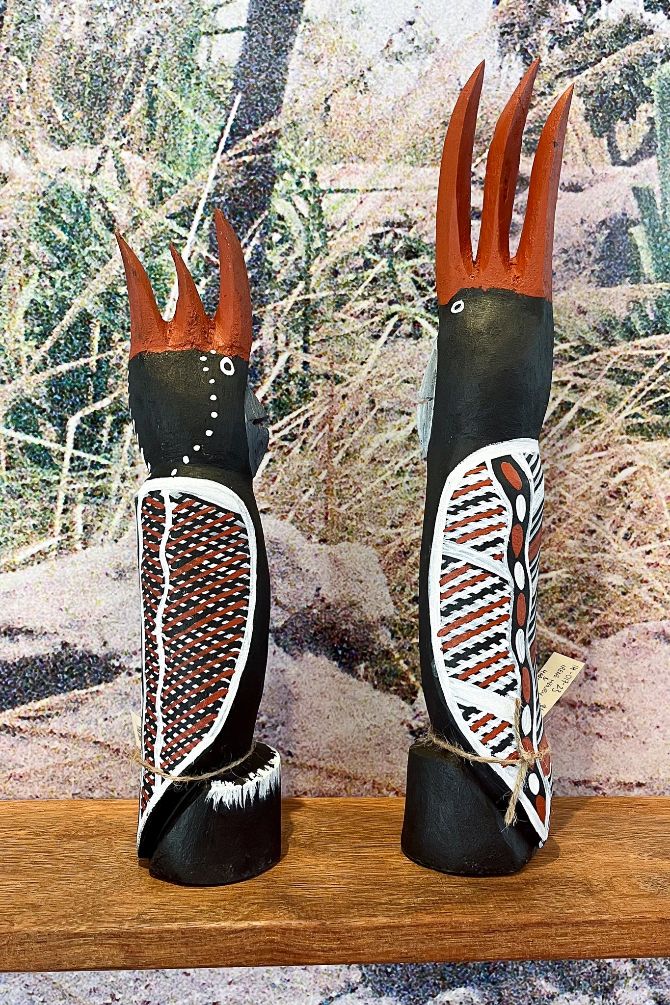 Karnamarr (Red Tailed Black Cockatoo)