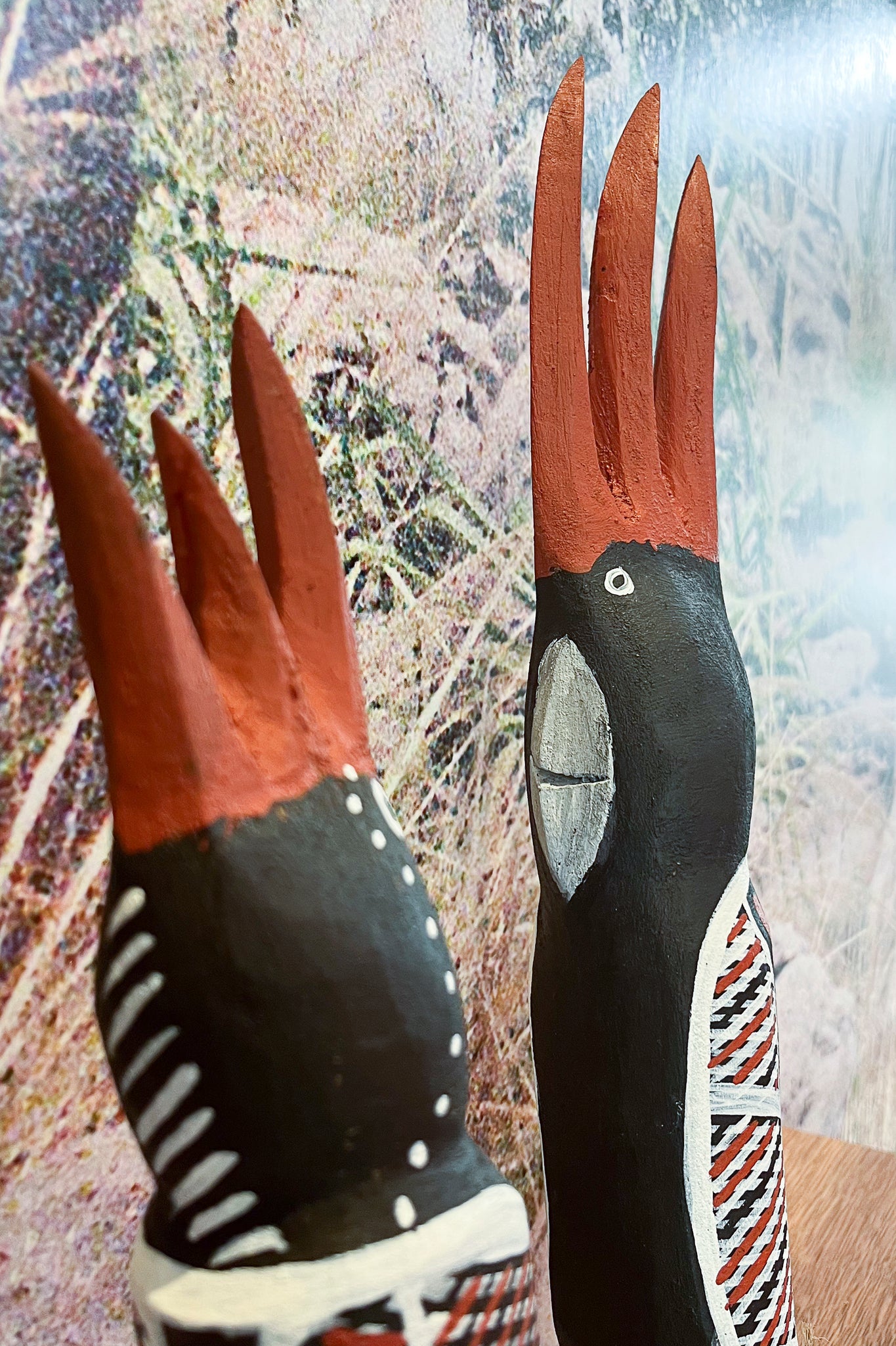 Karnamarr (Red Tailed Black Cockatoo)