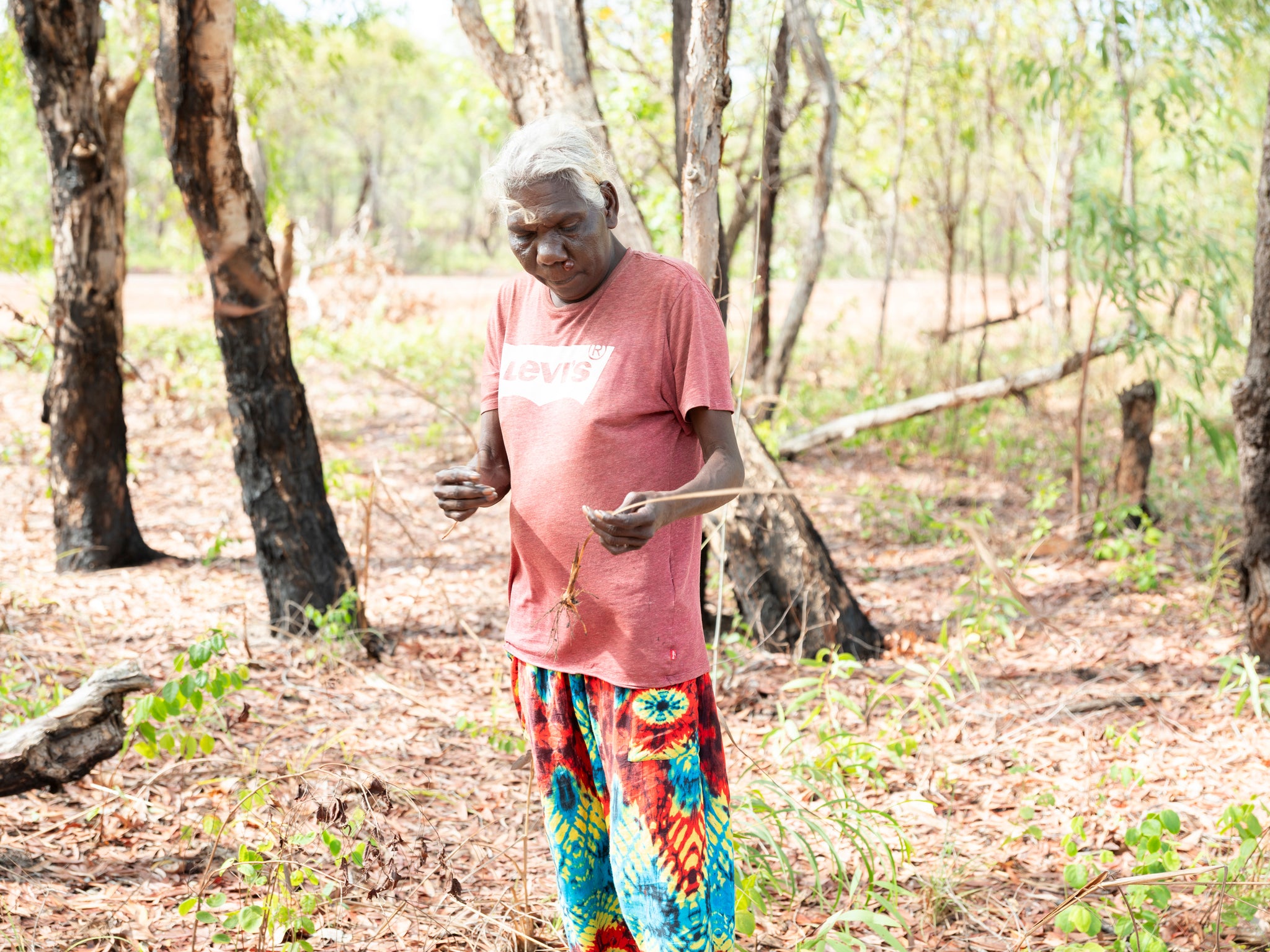 6. Mandjabu (fish trap)