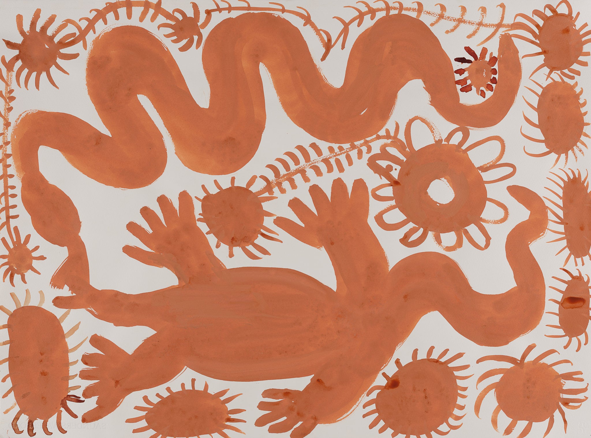EXHIBITION // PILPARRPA WORKS ON PAPER – Laundry Gallery Pty Ltd